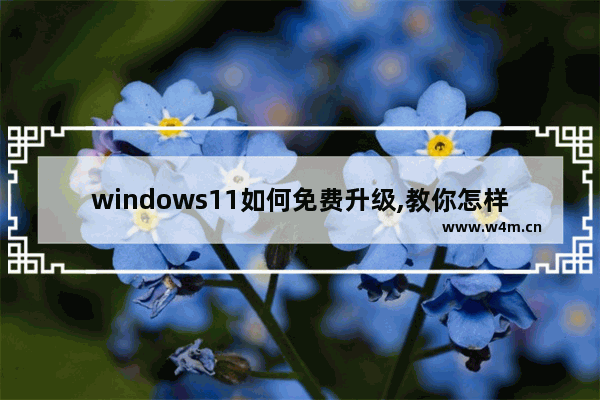 windows11如何免费升级,教你怎样免费升级win11系统