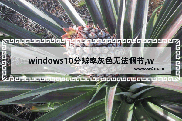 windows10分辨率灰色无法调节,w10系统显示分辨率是灰色不能调整怎么解决