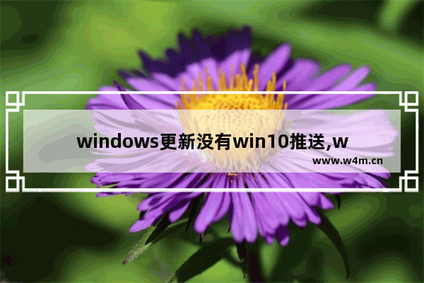 windows更新没有win10推送,win10 1903更新不了