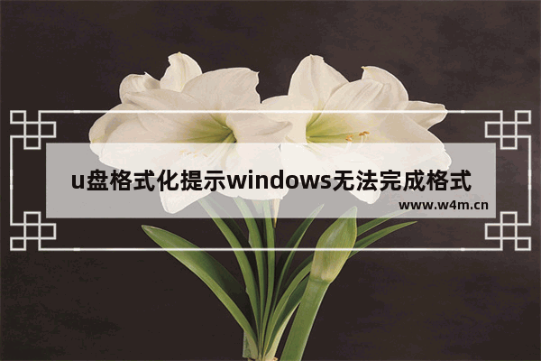 u盘格式化提示windows无法完成格式化,u盘在电脑上读不出来提示格式化Windows无法完成格式化