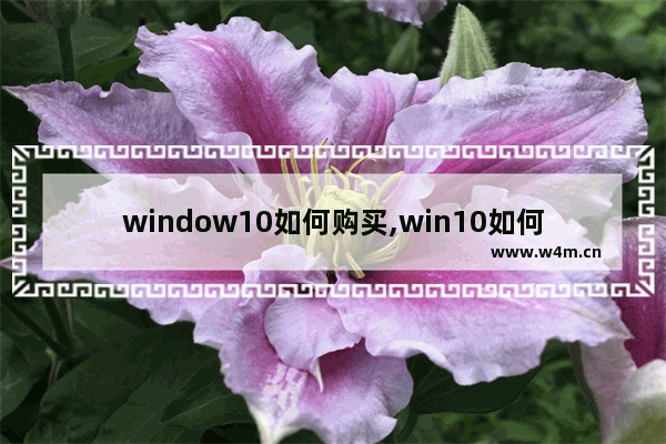 window10如何购买,win10如何购买_1