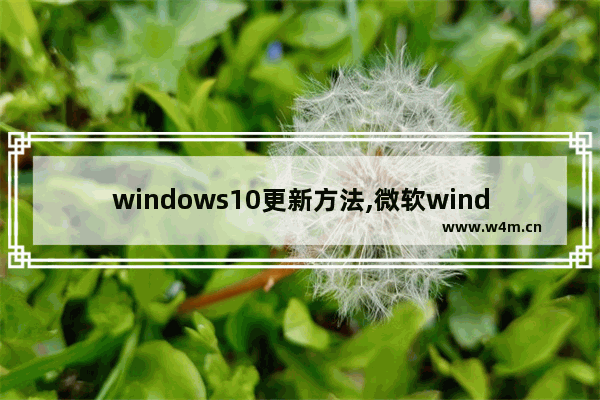 windows10更新方法,微软windows11怎么更新