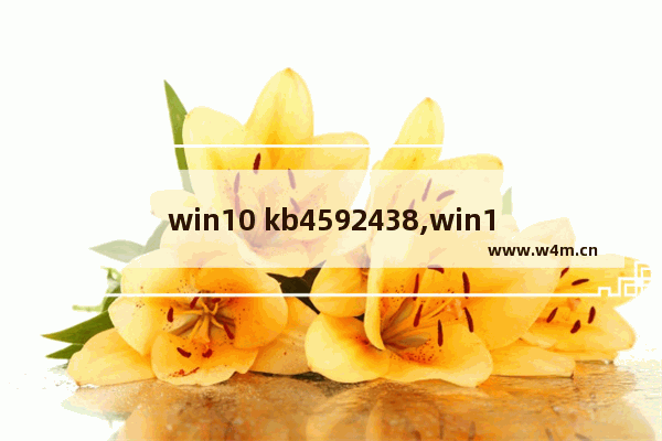 win10 kb4592438,win10 kb4586781