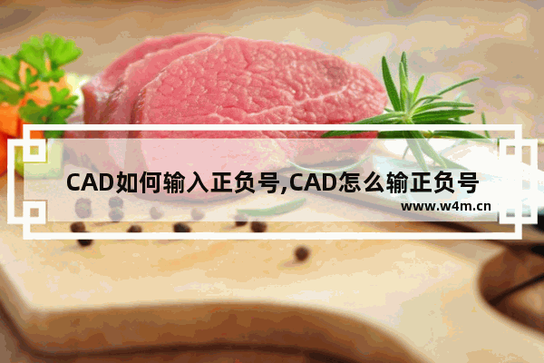 CAD如何输入正负号,CAD怎么输正负号