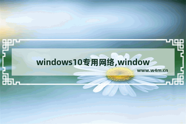 windows10专用网络,window10软件网络设置