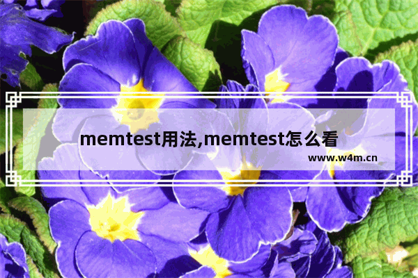 memtest用法,memtest怎么看