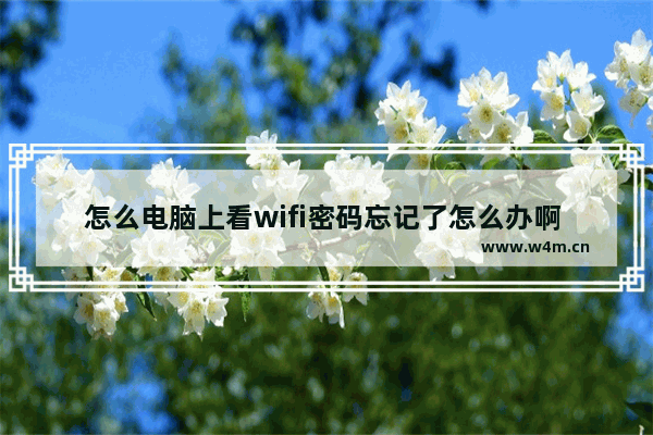 怎么电脑上看wifi密码忘记了怎么办啊 wifi密码忘记了怎么办