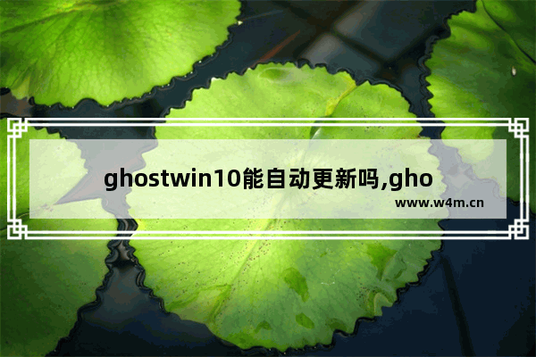 ghostwin10能自动更新吗,ghost安装win10引导修复