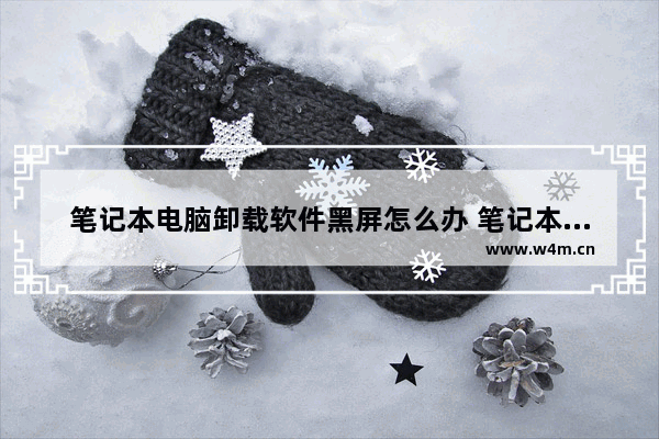 笔记本电脑卸载软件黑屏怎么办 笔记本电脑卸载软件后屏幕黑屏怎么办