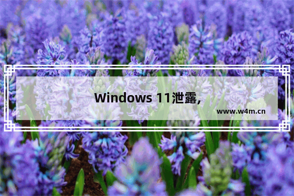 Windows 11泄露,