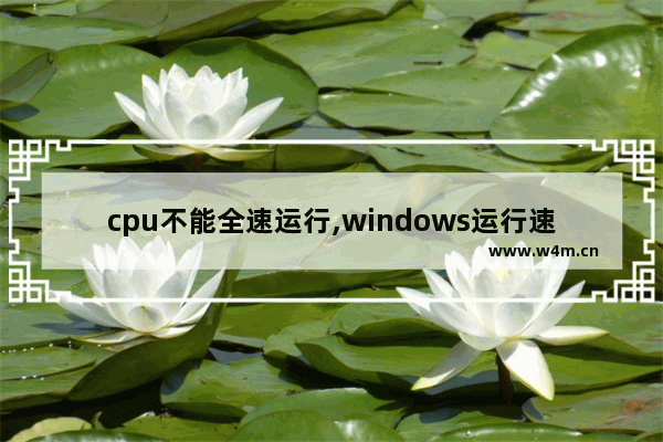 cpu不能全速运行,windows运行速度慢,CPU使用率达百分之百