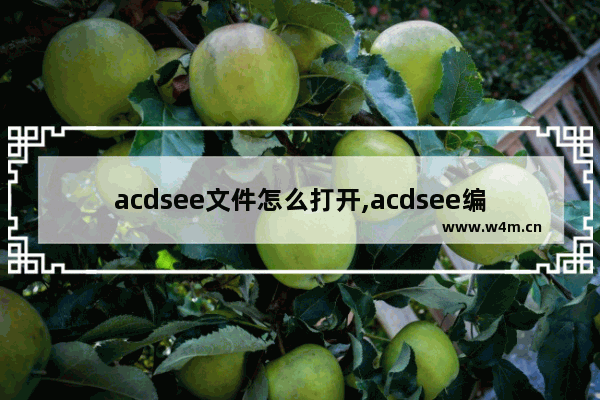 acdsee文件怎么打开,acdsee编辑好了怎么保存