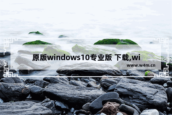 原版windows10专业版 下载,win10专业版完整版