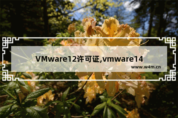 VMware12许可证,vmware14虚拟机许可证密钥