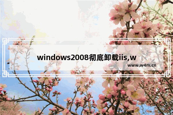 windows2008彻底卸载iis,win7如何卸载iis重新安装