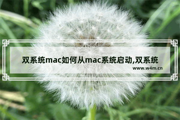 双系统mac如何从mac系统启动,双系统mac默认启动macos