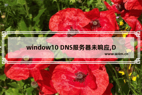 window10 DNS服务器未响应,DNS服务器未响应 win10