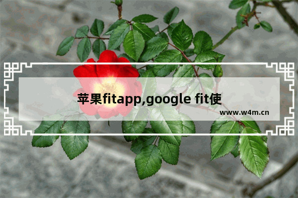 苹果fitapp,google fit使用教程