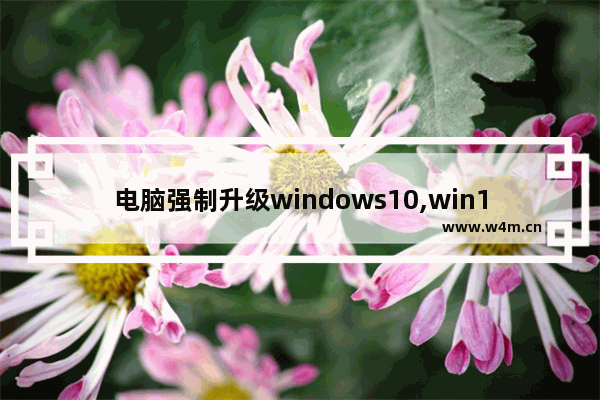 电脑强制升级windows10,win10升级 其他用户