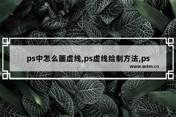 ps中怎么画虚线,ps虚线绘制方法,ps绘制虚线的多种方法