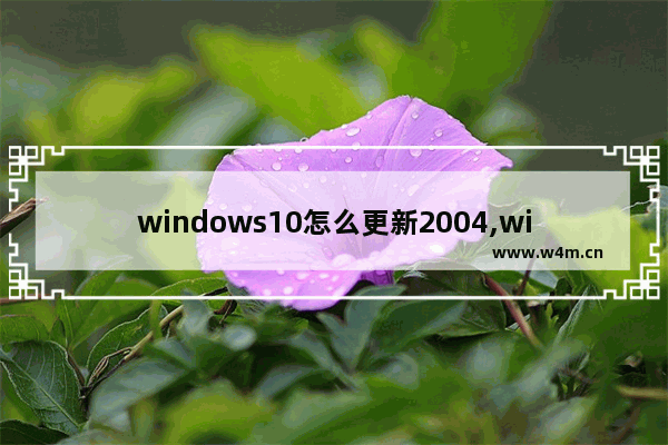 windows10怎么更新2004,window10如何升级2004