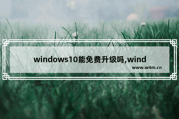 windows10能免费升级吗,windows11免费升级条件