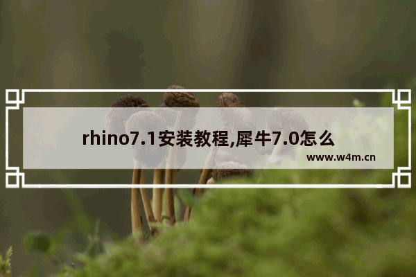 rhino7.1安装教程,犀牛7.0怎么安装