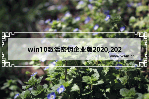 win10激活密钥企业版2020,2020免费版win10激活密钥大全(有效激活)