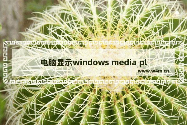 电脑显示windows media player无法播放,win7 windows media player打不开