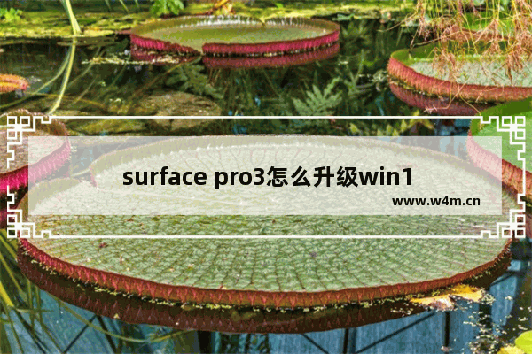 surface pro3怎么升级win10,surface pro正在准备windows