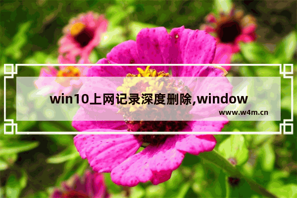 win10上网记录深度删除,window10怎么删除所有数据