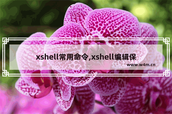 xshell常用命令,xshell编辑保存命令