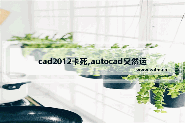 cad2012卡死,autocad突然运行很卡