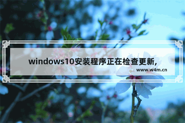 windows10安装程序正在检查更新,windows检查更新遇到错误