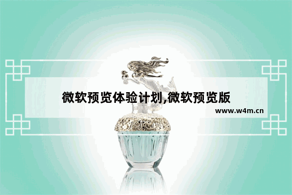 微软预览体验计划,微软预览版