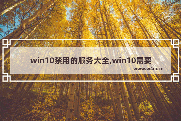 win10禁用的服务大全,win10需要禁用的服务