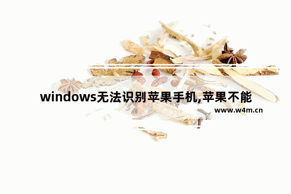 windows无法识别苹果手机,苹果不能识别windows10iso