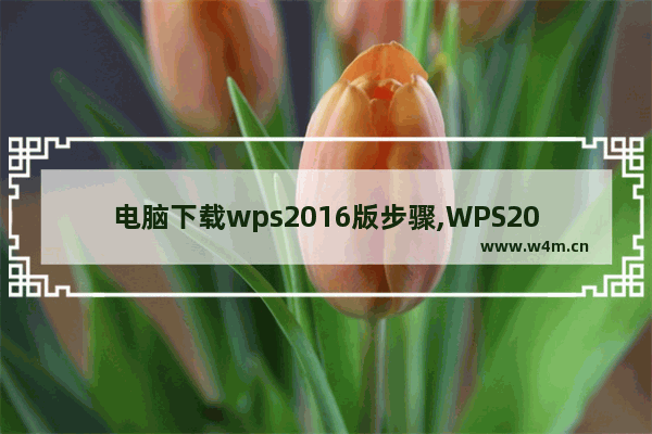 电脑下载wps2016版步骤,WPS2016安装包