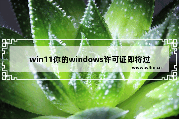 win11你的windows许可证即将过期,许可证即将过期怎么办 windows10