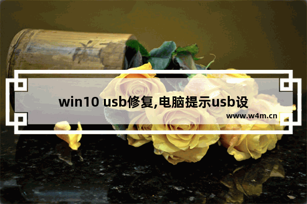 win10 usb修复,电脑提示usb设备描述符失败