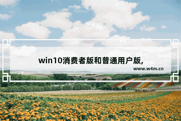 win10消费者版和普通用户版,