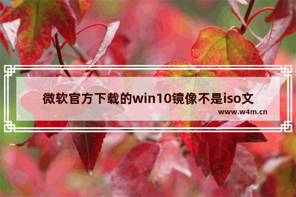 微软官方下载的win10镜像不是iso文件,微软原版windows10 iso镜像