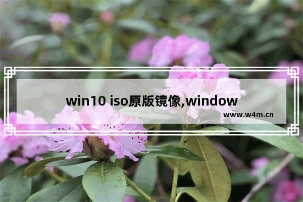 win10 iso原版镜像,windows7纯净版iso镜像