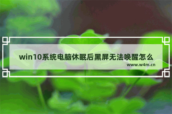 win10系统电脑休眠后黑屏无法唤醒怎么办,怎样唤醒win10睡眠无法唤醒黑屏