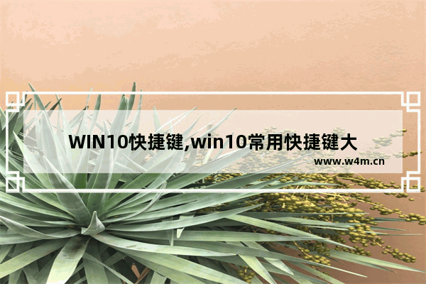 WIN10快捷键,win10常用快捷键大全