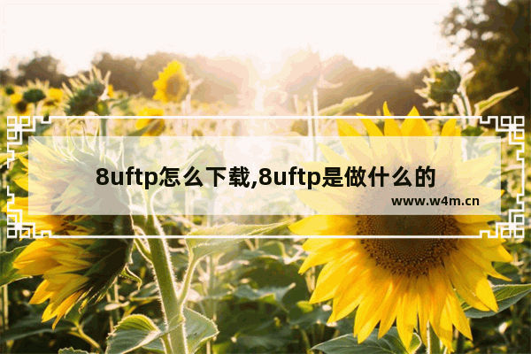 8uftp怎么下载,8uftp是做什么的