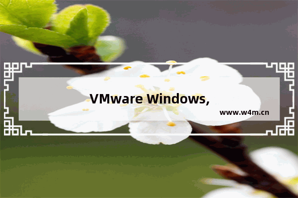 VMware Windows,