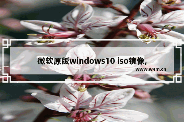 微软原版windows10 iso镜像,win10 1803版本下载