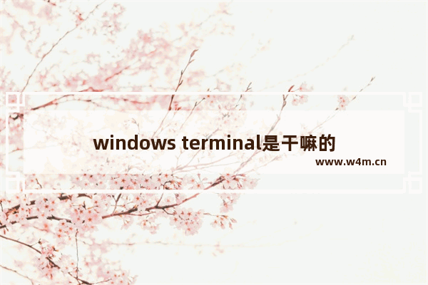 windows terminal是干嘛的,Window Terminal