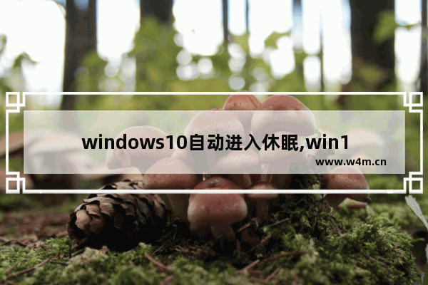 windows10自动进入休眠,win10进入休眠状态